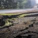 9 U.S. States Hit By Earthquakes At Same Time