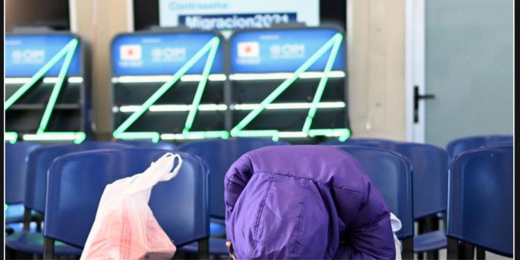 Agency reports highest number of Guatemalans deported from US in 2024