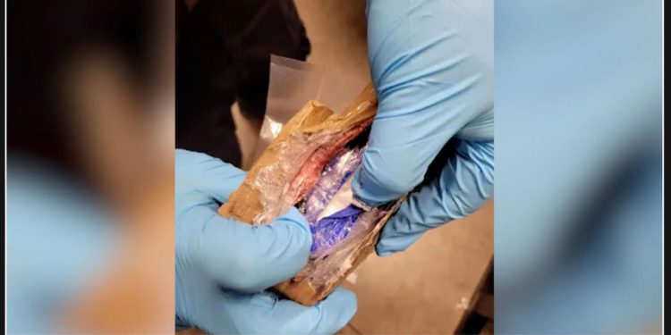 Backpacks containing $1.1M worth of cocaine confiscated by Border Patrol near Canadian border