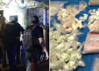 Drive-thru drug ring with ties to Venezuelan gang shut down, $1M in drugs seized from NW Houston apartments, Pct. 1 says