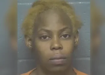 Drunk mom charged after throwing one baby on the ground, attempting to grab another, and admitting plans to abandon both to visit someone.