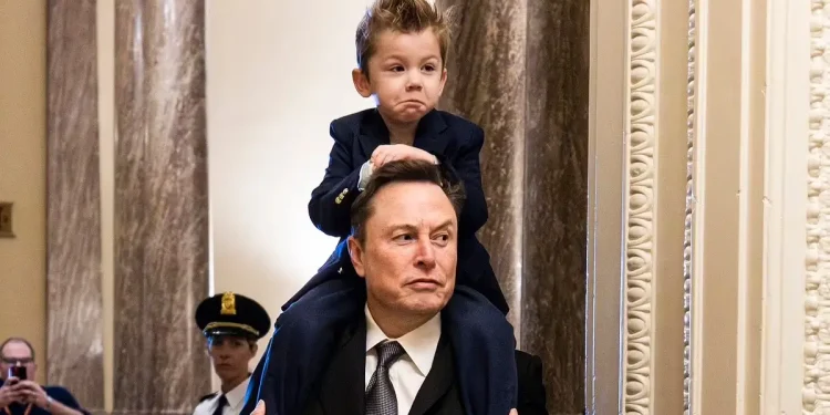 Elon Musk's four-year-old son looks like his mini-me twin as he arrives at Capitol Hill on his dad's shoulders