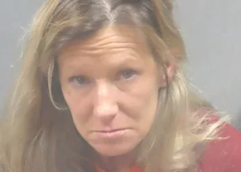 Fenton-area woman sentenced to 15 years in prison