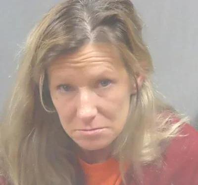 Fenton-area woman sentenced to 15 years in prison