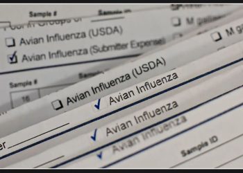 First case of bird flu confirmed in Texas City after discovery of infected bird