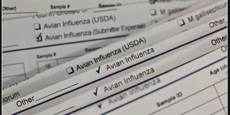 First case of bird flu confirmed in Texas City after discovery of infected bird