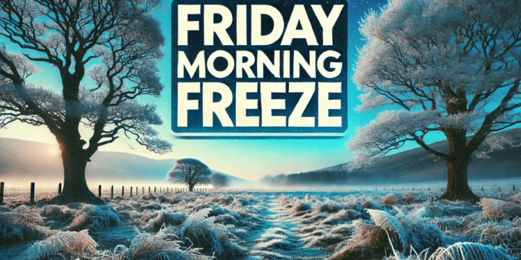 Houston-Galveston Area Five-Day Forecast: Cold Front Brings Rain Tonight, Freeze Expected Friday Morning