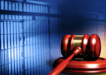 Houston Woman Charged with Felony for Allegedly Locking 7-Year-Old in Dog Cage