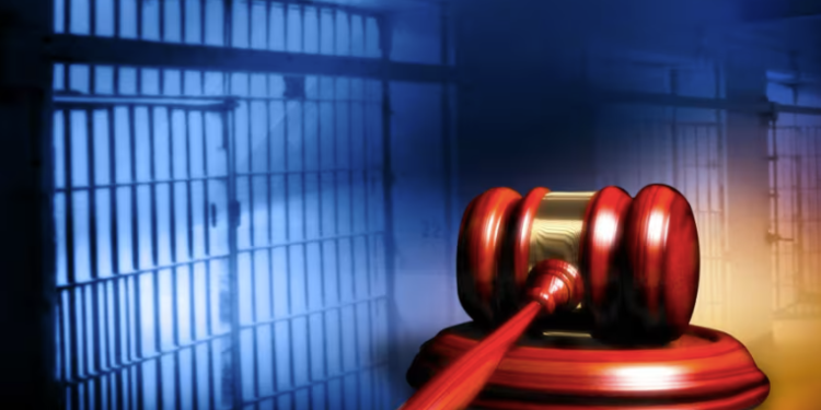 Houston Woman Charged with Felony for Allegedly Locking 7-Year-Old in Dog Cage