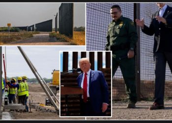 Judge orders Biden administration to halt sale of border wall materials in Texas