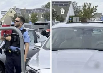 Louisiana mom arrested after one-year-old locked in car alone tried to climb through sunroof, police say