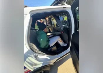 Man arrested trying to break into Humble homes, deputies say