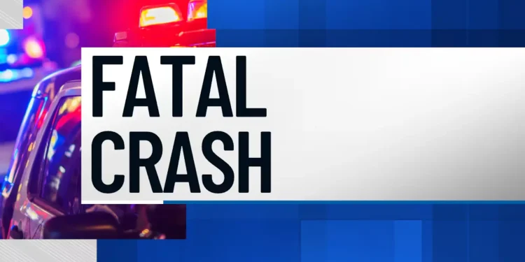 Man killed in early Saturday crash in South County