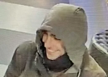 Murdered Insurance CEO Had Deployed an AI to Automatically Deny Benefits for Sick People