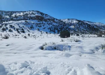 Parts of Oklahoma Could Have a White Christmas This Year