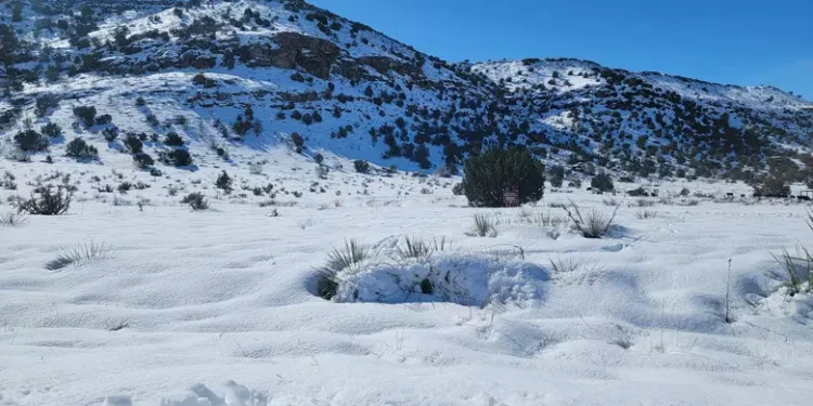 Parts of Oklahoma Could Have a White Christmas This Year