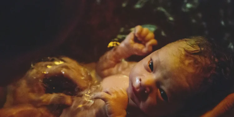 Pregnant woman gives birth in a bathroom stall, attempts to flush the newborn down a U-drain; baby pronounced dead at the hospital, woman charged