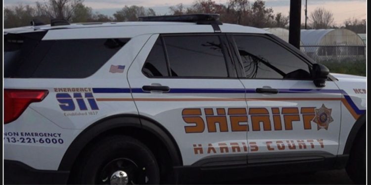 Teenager's body discovered in Cypress backyard