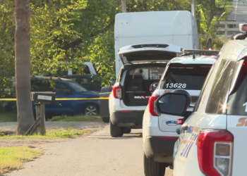 Toddler Dies After Being Hit by Vehicle in Channelview