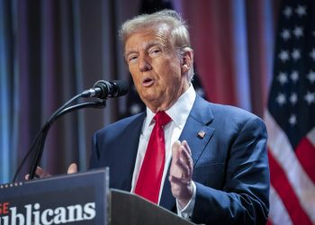 Trump will use MAGA sheriffs and citizen volunteers for his roundup agenda: experts