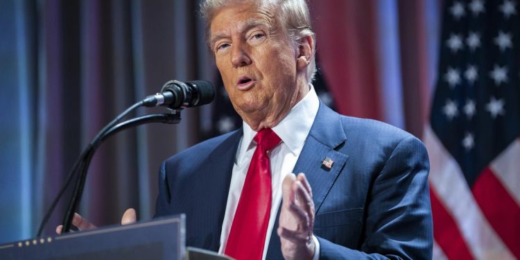 Trump will use MAGA sheriffs and citizen volunteers for his roundup agenda: experts