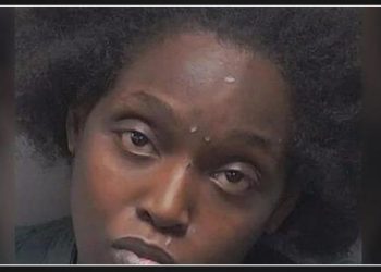 Woman in Chattanooga locks herself in a stall and gives birth, attempts to flush newborn down drain, resulting in baby's death