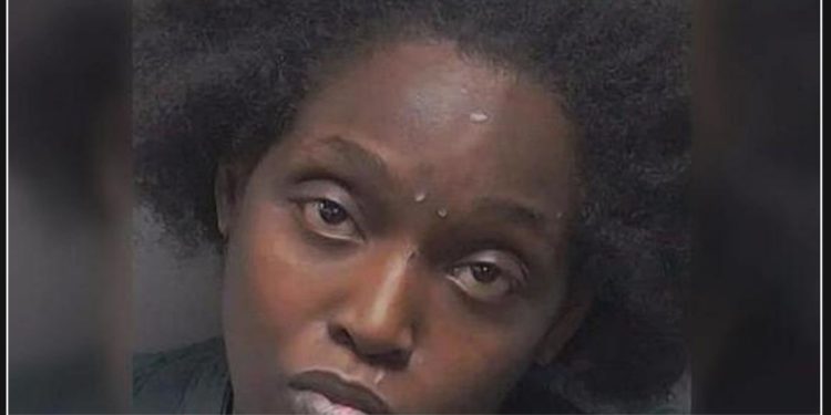 Woman in Chattanooga locks herself in a stall and gives birth, attempts to flush newborn down drain, resulting in baby's death