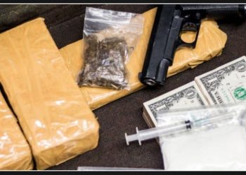 Woman involved in drug smuggling ring sentenced to 14 years after being caught smuggling meth across the border