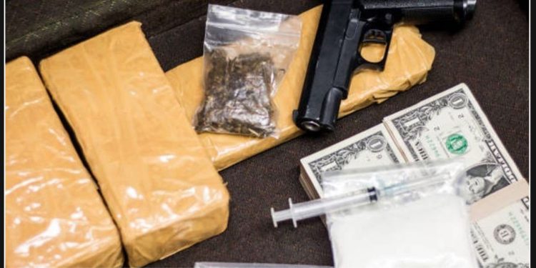 Woman involved in drug smuggling ring sentenced to 14 years after being caught smuggling meth across the border