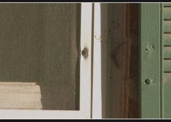 Wrong home targeted in North Texas shooting, leading to arrest of three suspects