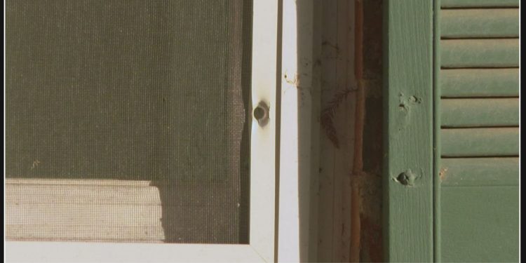 Wrong home targeted in North Texas shooting, leading to arrest of three suspects