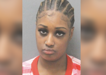 "Driver Fleeing Accident in Houston Captured with Witnesses’ Help"