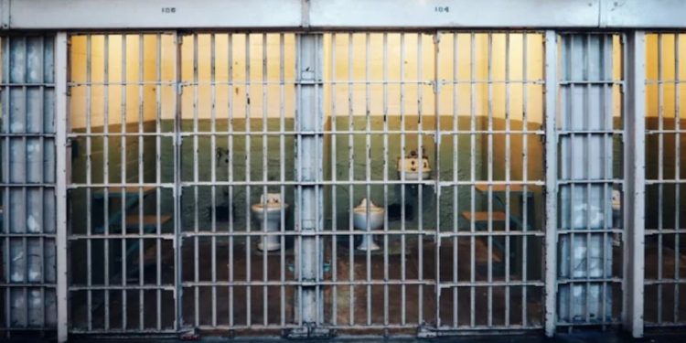 A Columbia County woman has been imprisoned for wire fraud and illegal animal drug sales in Oregon