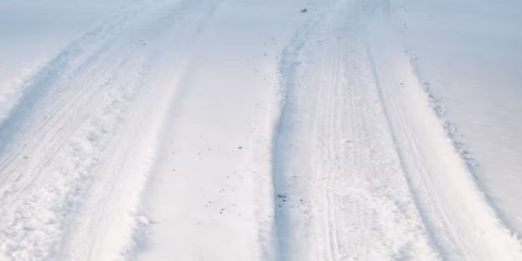 A Two-month-old Baby And Toddler Were Found On A Houston Sidewalk During A Snowstorm; The Mother Was Reportedly Intoxicated