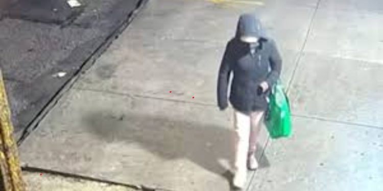 A Woman Who Abandoned Her Newborn Baby In A Tote Bag In The Bronx Has Surrendered To Police