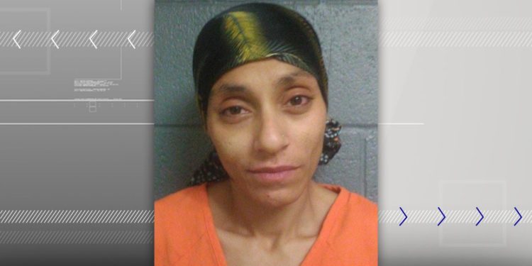 Blair County Theft Spree Ends At Altoona Motel, With ‘homeless’ Woman Detained