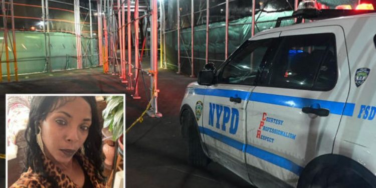 NYC mom fatally stabbed defending 12-year-old daughter in Huge brawl outside their apartment building: sources