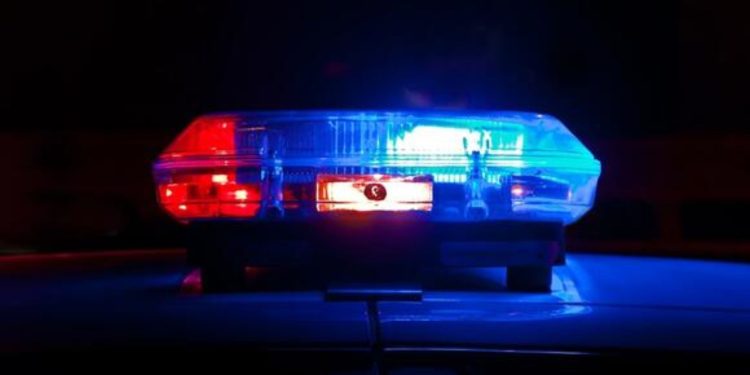 Venezuelan National Taken Into Custody Outside Florida Va Center With Fake Green Cards And Social Security Cards