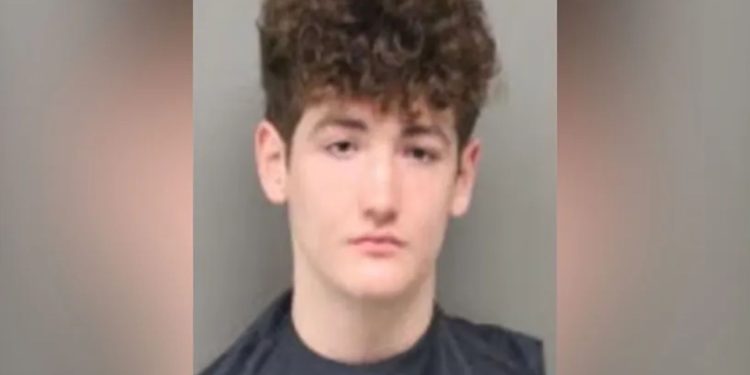 An 18-year-old Boy Who Assisted His Girlfriend In Fatally Stabbing Her Father, Whom She Had Wanted Dead For Years Because He Was Abused Her And Her Mother, Was Sentenced