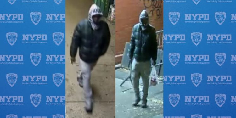 Man Hits Cat With Wooden Stool On Manhattan Street, Fracturing Its Jaw And Back