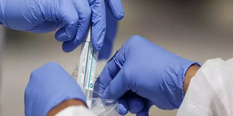 New Deadly Virus Discovered In Alabama, Raising Concerns About Widespread Henipavirus Presence In US