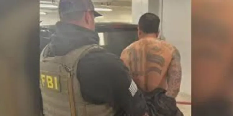 Alleged MS-13 gang member taken into custody in San Francisco by local ICE and FBI officers