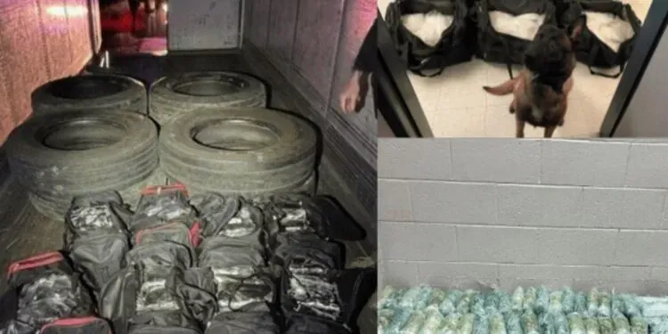 Fentanyl Floodgates Shut: California Operation Captures Over 1,600 Pounds Of Deadly Drug