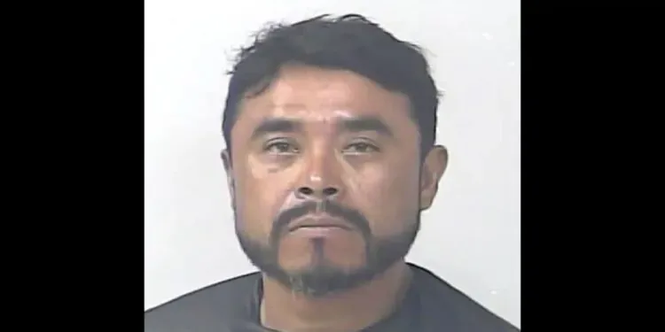 Man Charged With Hanging Two Dogs From A Tree On Property