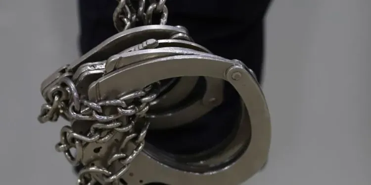 Pennsylvania Man Charged With Killing Girlfriend’s Pitbull Puppy