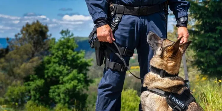 Pennsylvania Police Struggle To Find A Truck Driver Who’s Been On The Run For Two Weeks