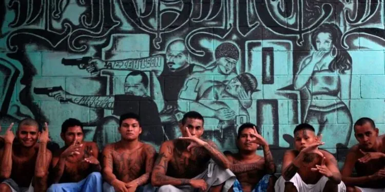 The 5 Most Dangerous Gangs In California And Their Rising Influence