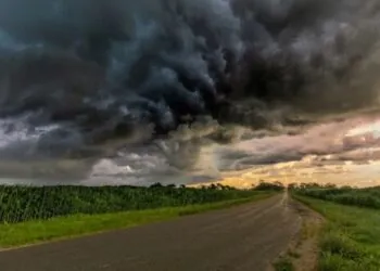 Washington And Oregon Prepare For Thunderstorms And Authorities Urge Animal Safety Precautions