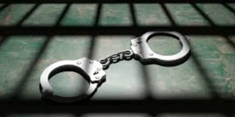 14 People Arrested During 4 Day Offender Sweep In Wyandotte