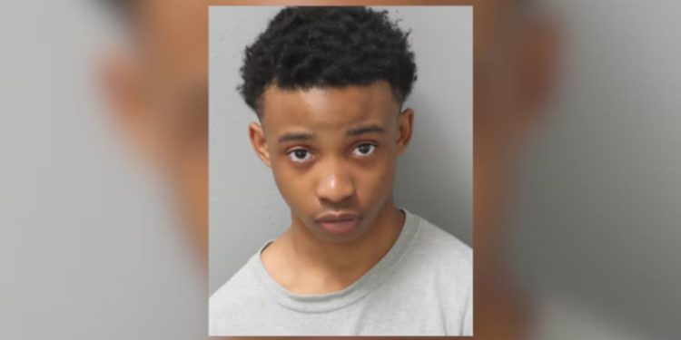 15-year-old Sentenced To 20 Years For Carjacking Murder Of St. Louis Woman